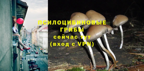 не бодяженный Ладушкин