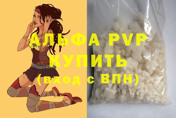 СК Ростов